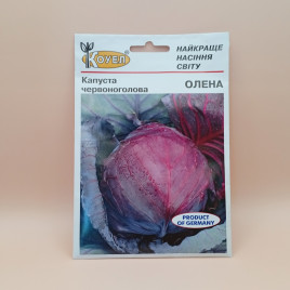 Капуста Алена