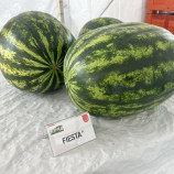 Арбуз Фиеста F1 (CRX 10491) 