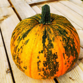 тыква ольга