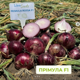 Прімула F1 насіння цибулі ріпчастої озимої середнього 280-285 дн. 160-250 гр. червоної (LibraSeeds)