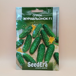 Журавленок F1 семена огурца корнишона пчелооп. среднего 45 дн. 10-12 см (Украина СДБ)