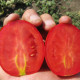 Пьетра Росса F1 семена томата дет. (Clause)