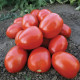 Морелія F1 насіння томату дет. 120-140 гр (Enza Задень)