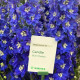 Кендел F1 Blue Shades семена дельфиниума 120-150см (Sakata)