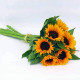 Сорая насіння соняшнику декоративного 150-160см (Benary)