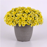 Петхоа Калібуст F1 жовта (yellow) насіння петунії ампельної (Pan American)