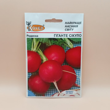 Гиганте Сикуло семена редиса (SAIS)