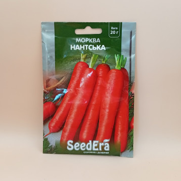 Нантська насіння моркви Нантес (Seedera)