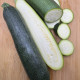 Супремо F1 семена цуккини раннего 42-45 дн. темно-зеленого (Syngenta)