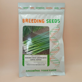Капитал семена лука на перо среднераннего 55-60 дн. (Breeding Seeds)