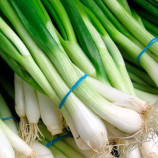 Кайгаро F1 семена лука на перо (Enza Zaden)