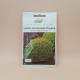 Грецький насіння карликового базиліку зеленого (Anseme)