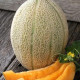Дыня Эфиопка