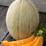 Дыня Эфиопка