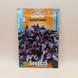 Базилік фіолетовий 