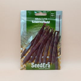 Блаухильде семена фасоли спаржевой вьющейся фиолет. (Seedera)
