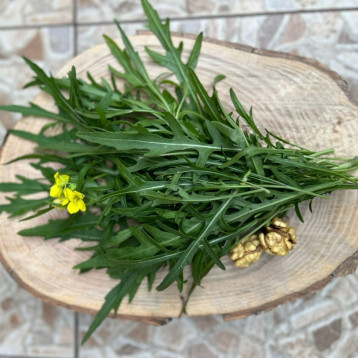 Стріли Купідона насіння руколи середньої 35-38 дн (Breeding Seeds)