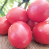 Джолі F1 (3726) насіння томату дет. середньораннього слив. 160-180 гр. рожевий (Hazera)