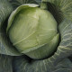 Тарас F1 насіння капусти б/г пізньої 130-145 дн. 2,5-4 кг (Lucky Seed)