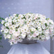 Опера Супрім F1 біла (white) насіння петунії ампельної (Takii Seeds)