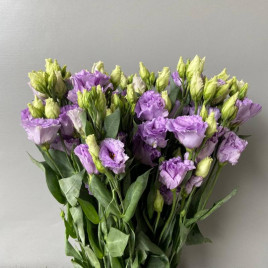 Корелли F1 lavender семена эустомы махр. 70-90см (Takii Seeds)