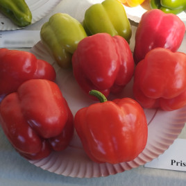 Присцила F1 семена перца сладкого (Moravoseed)