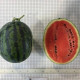 Гуд Саммер F1 насіння кавуна крсв раннього 70 дн 8-10 кг овал (Asia Seed)