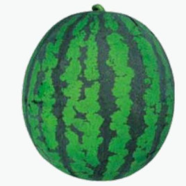 Гуд Саммер F1 насіння кавуна крсв раннього 70 дн 8-10 кг овал (Asia Seed)