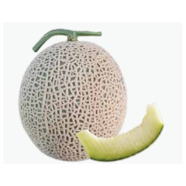 К-3 F1 насіння дині тип Канталупе 2,0-2,5 кг окр. зел./біл. (Asia Seed)