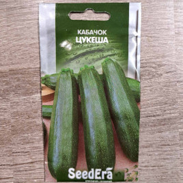 Кабачок Цукеша 