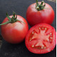 Розеледи F1 семена томата полудет. среднераннего окр. 160-180 гр. розов. (Moravoseed)