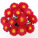 Арлекин ярко-красной семена астры помпоновидной на срез однол. 65-70см (Satimex)