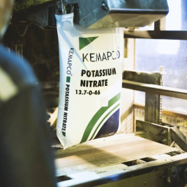 Нітрат калію (калієва селітра) 13.7-0-46.2 добриво мінеральне (Kemapco)