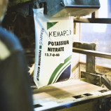 Нітрат калію (калієва селітра) 13.7-0-46.2 добриво мінеральне (Kemapco)