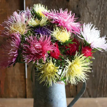 Айстра Валькірія суміш (Mix)