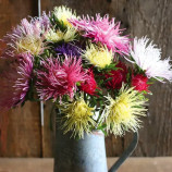 Айстра Валькірія суміш (Mix)