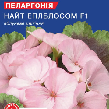 Найт Епплблоссом F1 насіння пеларгонії (GL Seeds)