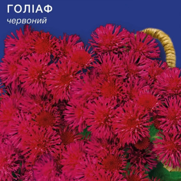 Голиаф красный семена агератума (GL Seeds)
