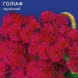 Голиаф красный семена агератума (GL Seeds)