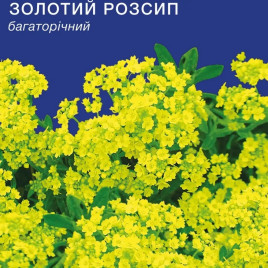 Алісум Золотий розсип 