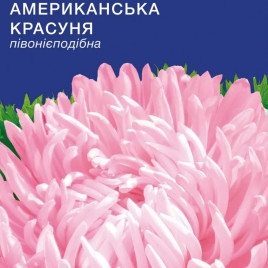 Айстра Американська красуня піоновідна