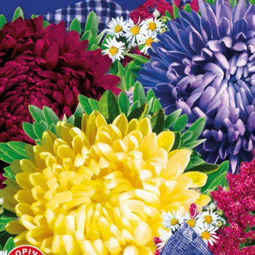 Айстра Королева ринку (Mix) суміш