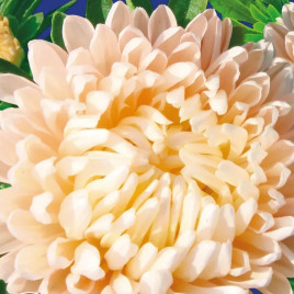 Айстра Персикова вежа