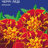 Черрі Леді насіння чорнобривців (GL Seeds)