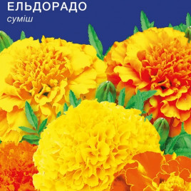 Ельдорадо насіння чорнобривців (GL Seeds)