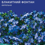 Лобелия Голубой фонтан