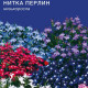 Лобелія Нитка перлів (GL Seeds)
