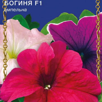 Богиня F1 насіння петунії (GL Seeds)