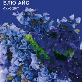 Статица Блю Айс