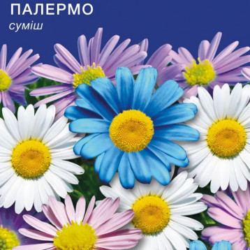 Палермо насіння брахікоми (GL Seeds)